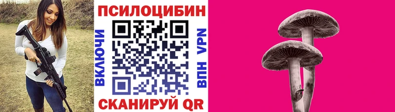 mega рабочий сайт закладки Выкса Галлюциногенные грибы Magic Shrooms